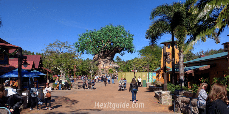 Disney's Animal Kingdom Honors Two Decades of Wild Encounters With